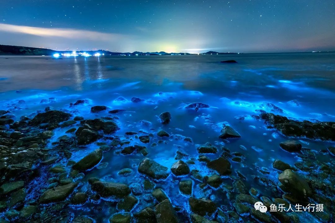 舟山荧光海滩图片