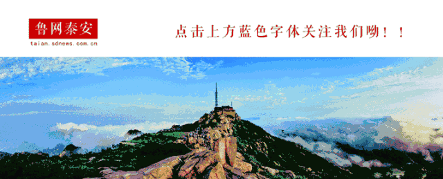 泰安汽车总站联系电话查询，便捷出行信息尽在掌握