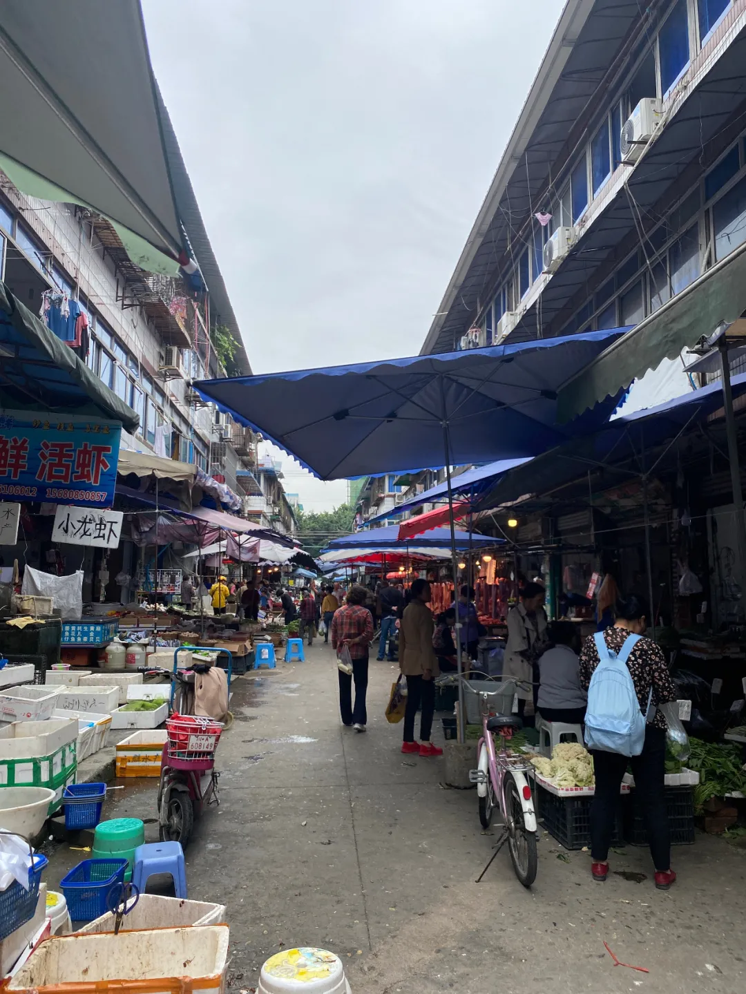 成都老牌富人区双楠又有新动作，百余亩TOD将开启区域焕新