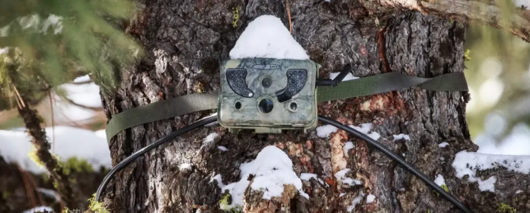 皿煮200年，美国跑步进入封建社会