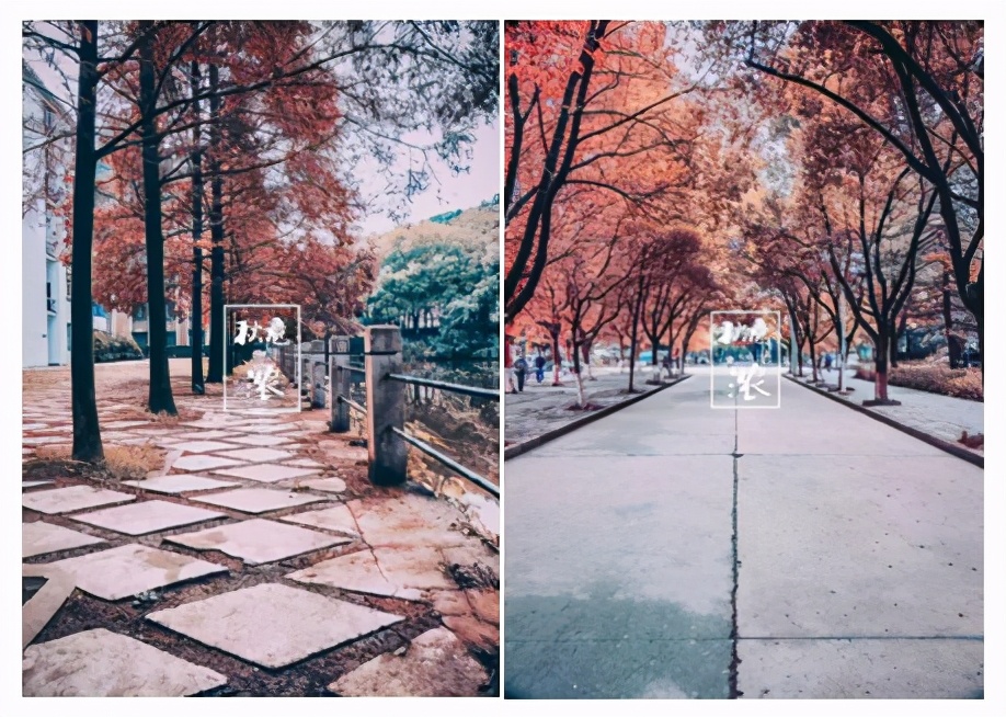 湖北“超网红”大学：依山傍水，空调宿舍，每人还配家具一套