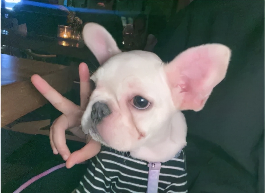 重庆购物狂家居装修
