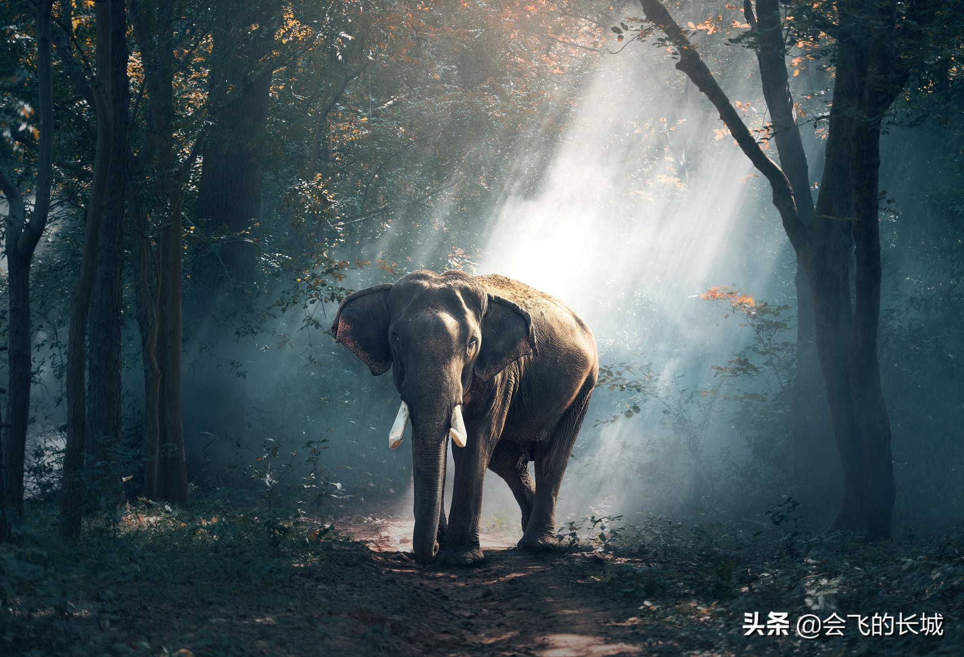 跌倒之后，如何重新站起并更加强大？