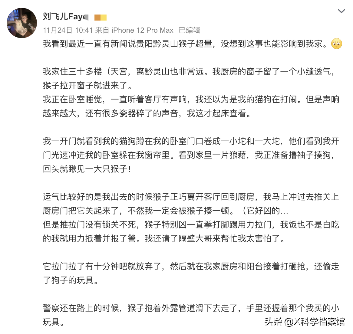 女主播家住30层遭遇猴子洗劫，猴子的战斗力有多强，打死犯法吗？