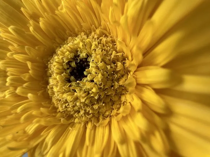 iPhone真的「十三香」？看完这份更新细节全攻略再下单