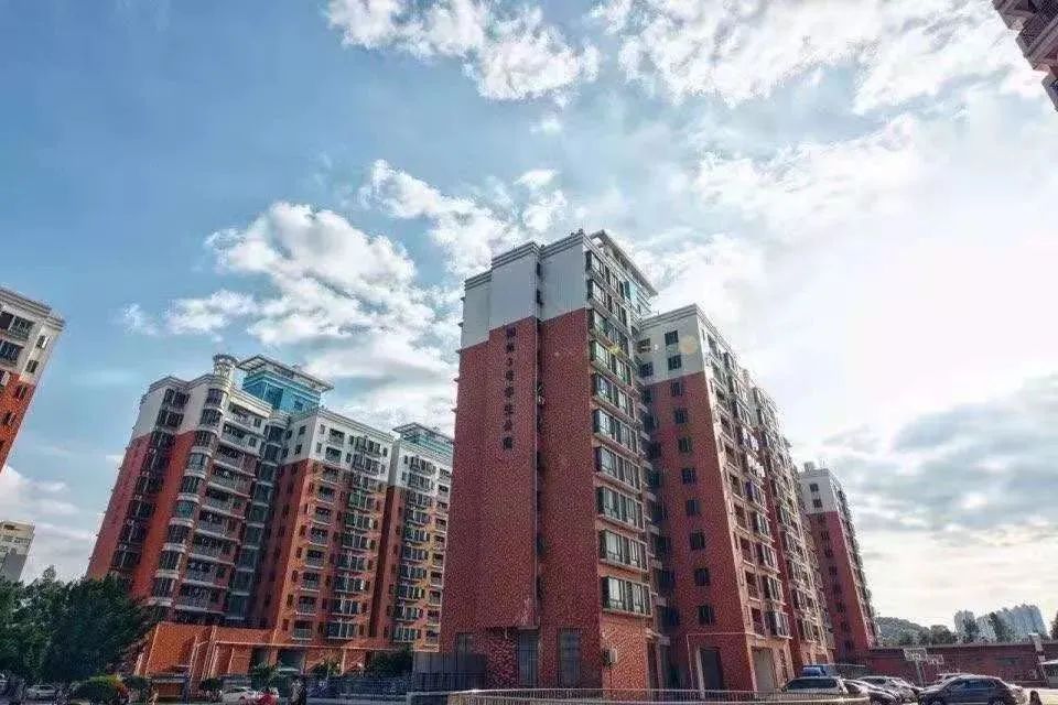 高职高考必看｜全面了解广东科技学院