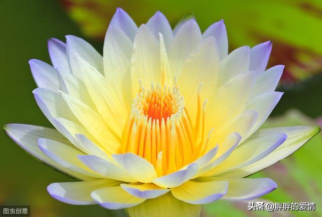 花开花落缘起缘灭，笑看花开是一种好心情，静赏花落是一种好境界