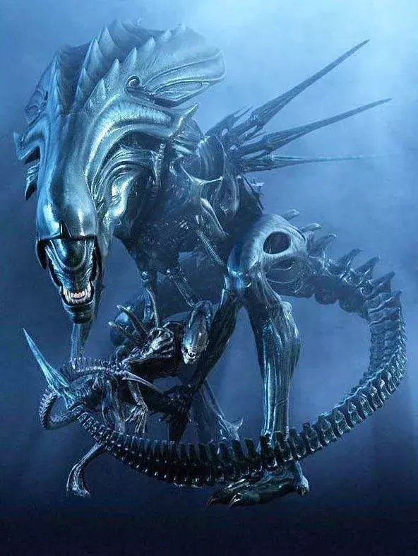 抱脸虫警告!异形品种大百科