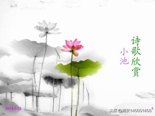 《小池》原文译文及赏析，小池古诗解释意思