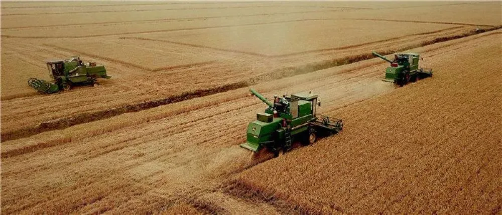 “大国粮仓”究竟存了多少粮？