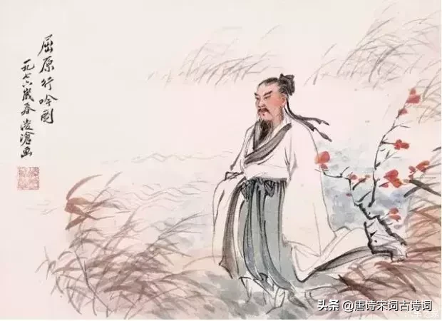 菊花:重阳节,我就是最靓的仔