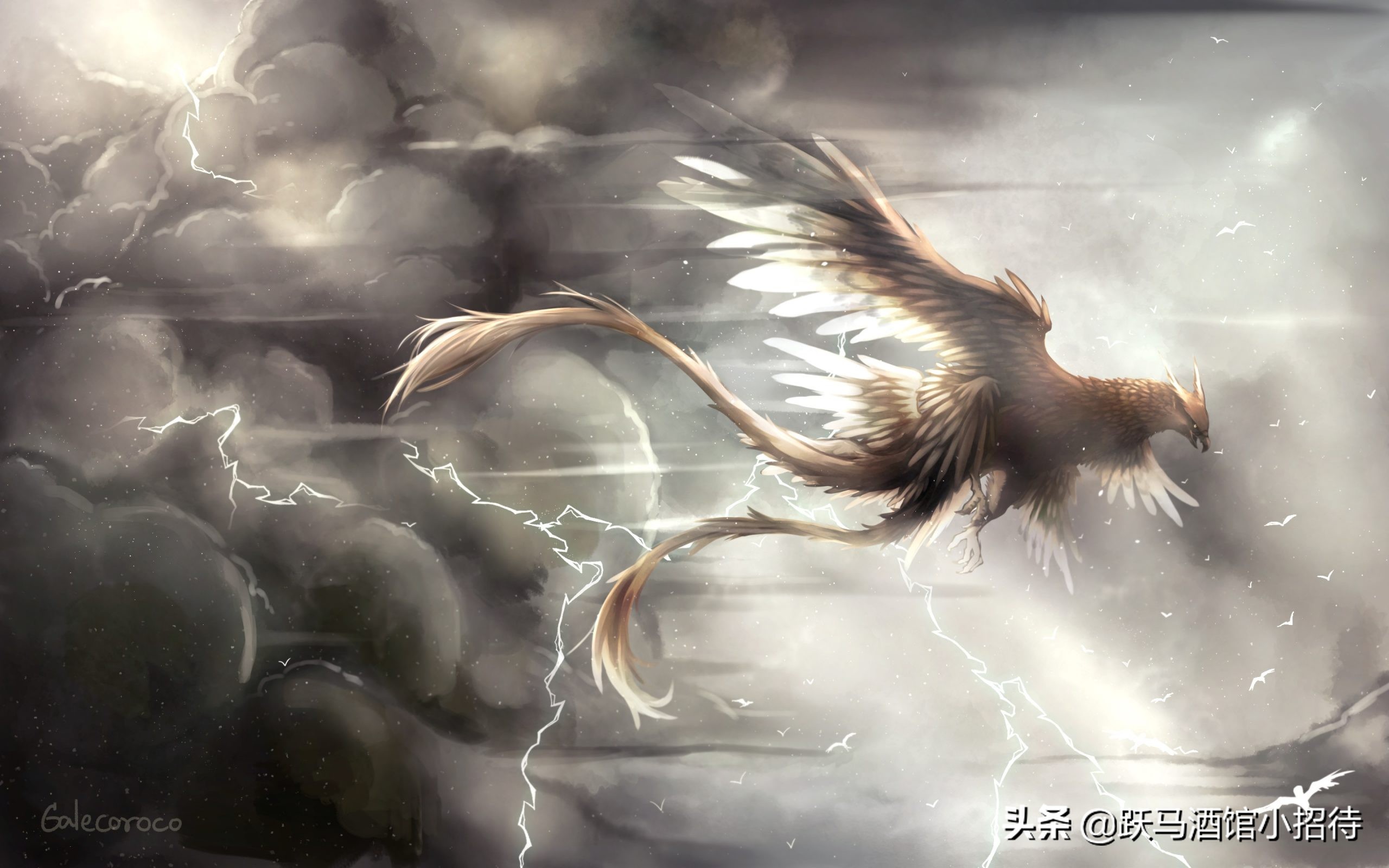 给麻瓜的《神奇动物百科》，魔法世界的动物到底有多神奇（长文）