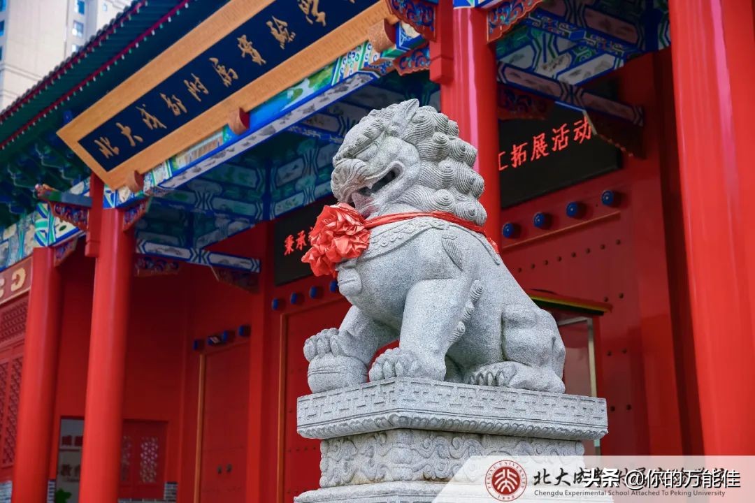 北大、北师大... 这些前缀有名校字样的成都民办学校你们了解吗