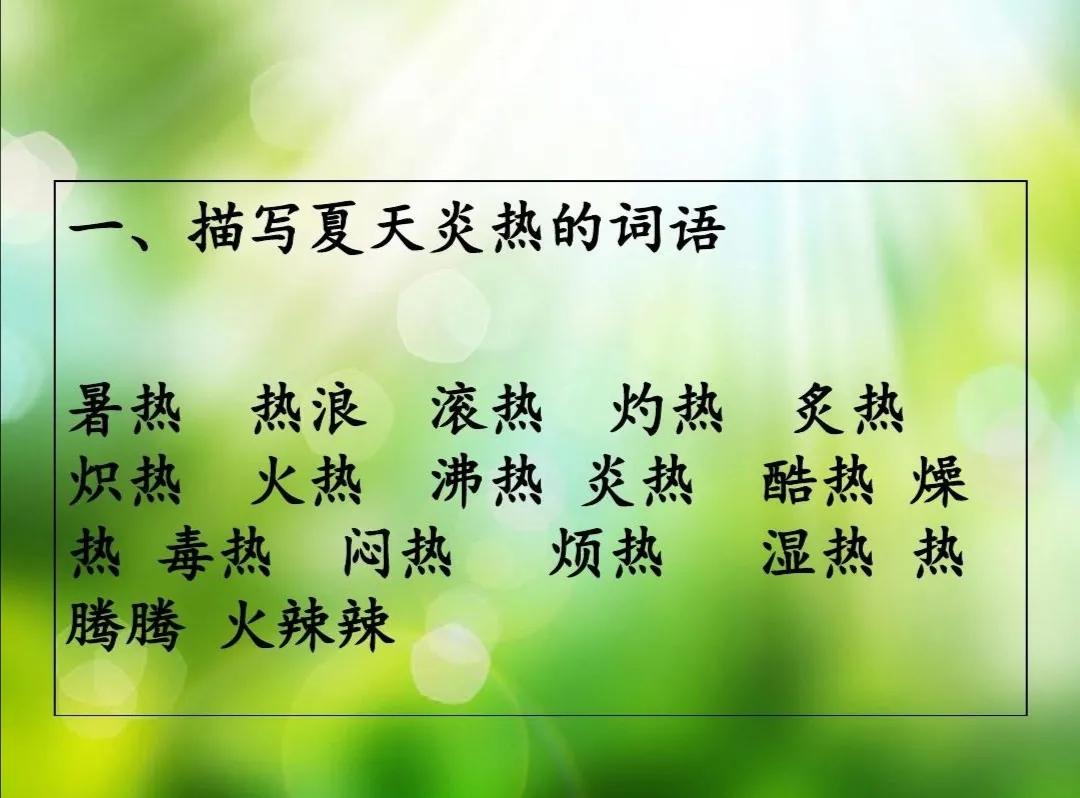 烈日炙烤大地，蝉鸣声嘶力竭，夏日的热浪扑面而来。