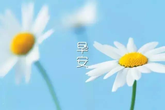 自在随心，晨光共舞：开启无拘生活新篇