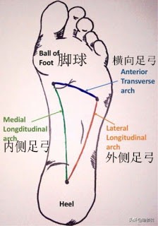 找回属于自己的足弓，揭开足弓塌陷的秘密