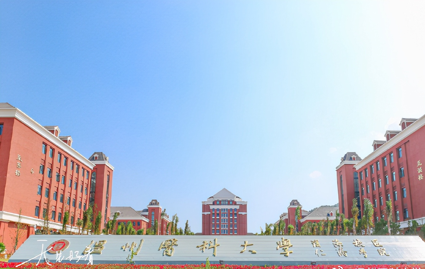 海南医科大学（2022高考）