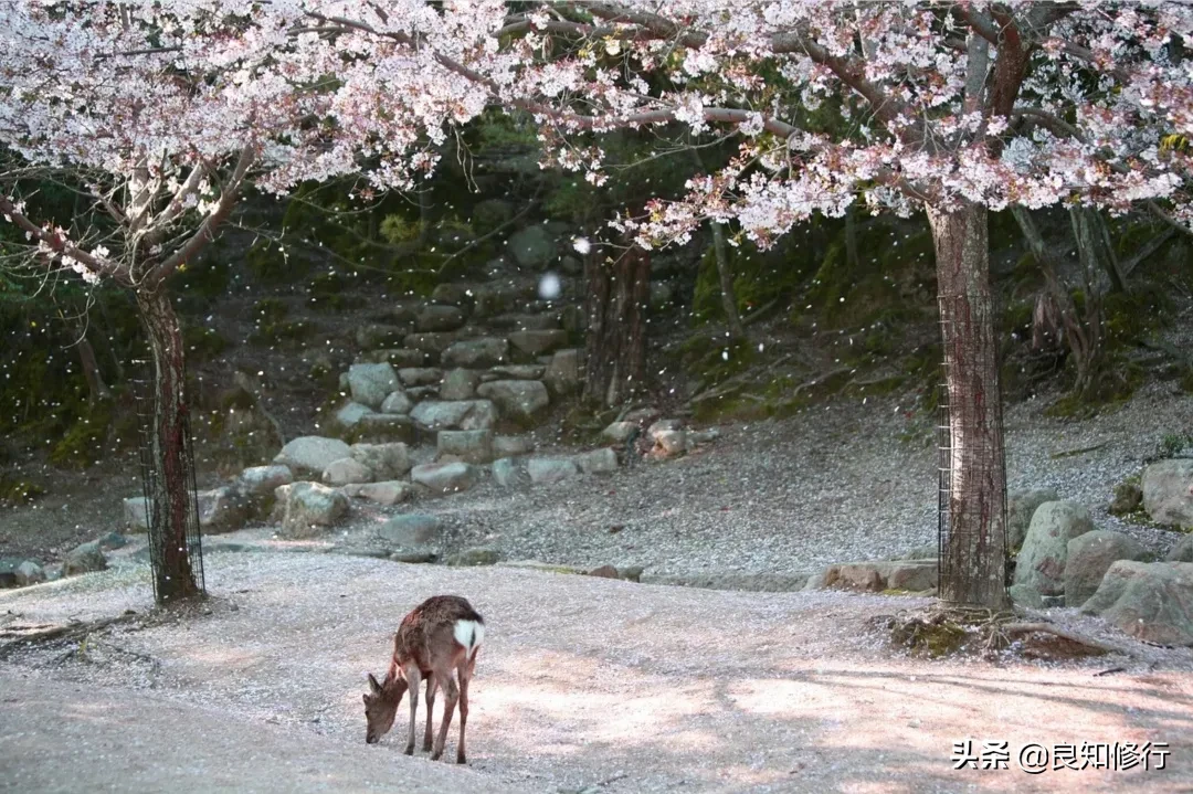 王阳明：世界是自己的，与他人无关