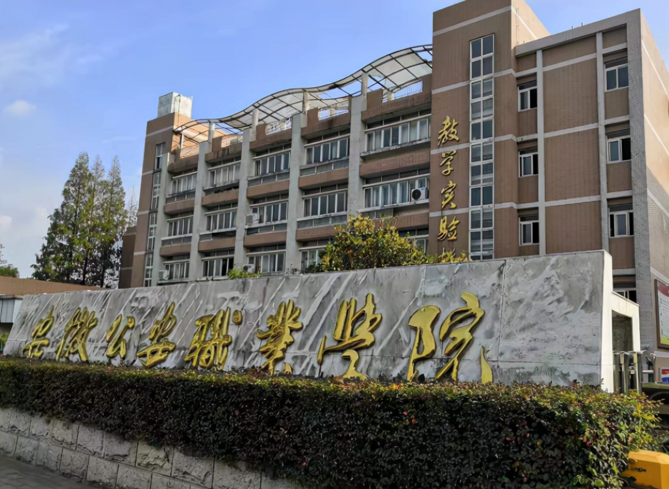 安徽三所专科学校或将升格，变成“本科”大学，当地学生们有福了