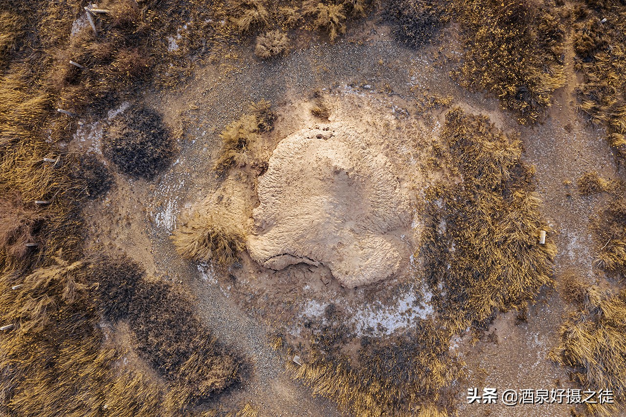 李陵碑遗址在哪（芦苇荡中的李陵碑遗址图片）