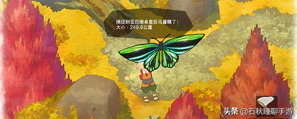 《大雄的牧场物语》秋季攻略 小精灵在哪 羊祭作物祭怎么优胜
