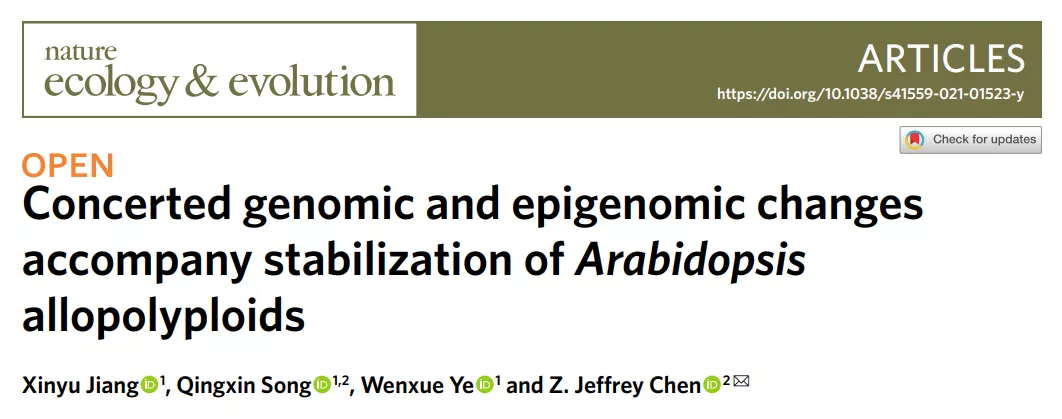 南京农业大学农学院（南京农大揭示多倍体植物形成和进化中的遗传和表观遗传调控机制）