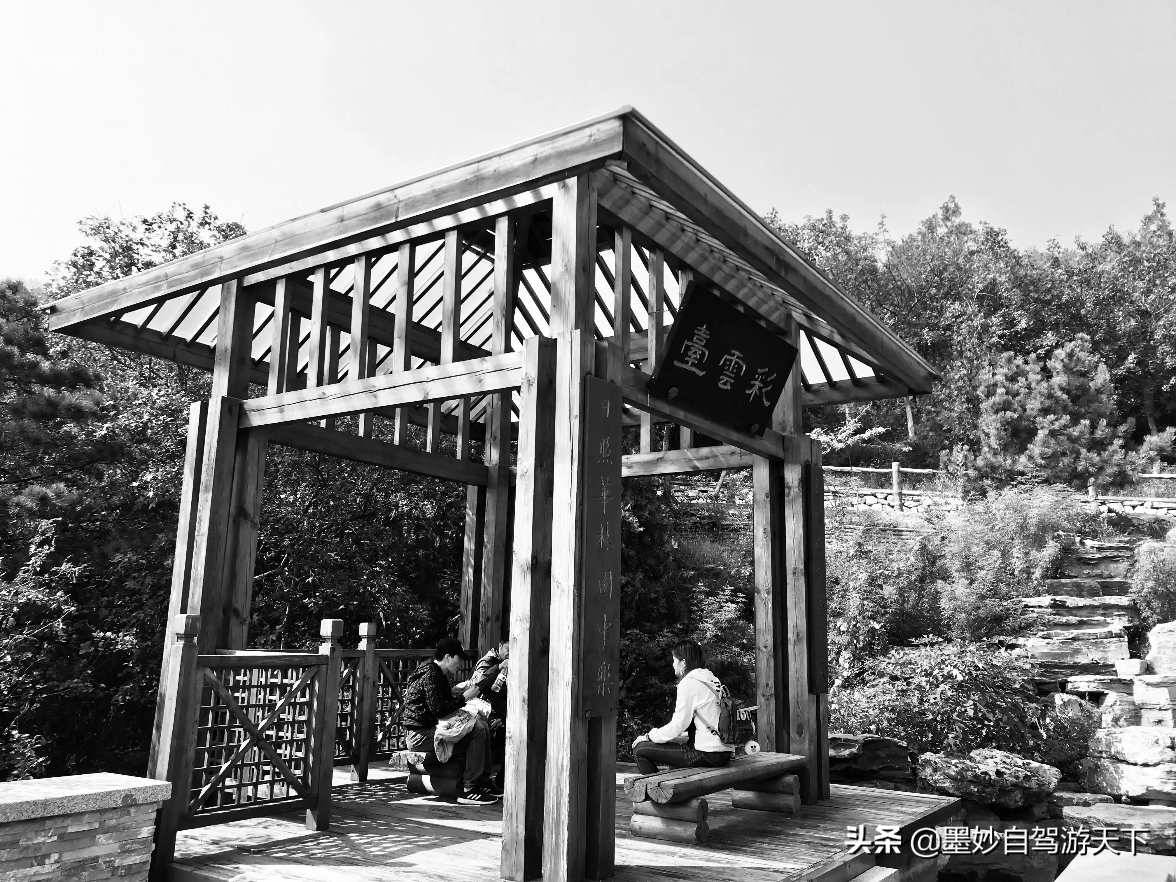 不出京城到江南｜北京市内交通便利的森林公园，端午洗肺好去处