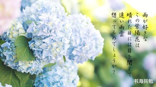 人到中年，没青春也没钱了，丈夫欺辱、感情破裂，就只能认怂吗？