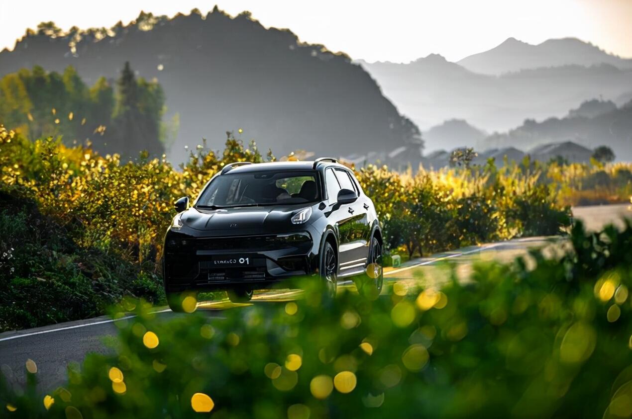 抛开销量看品牌，领克算不算成功？