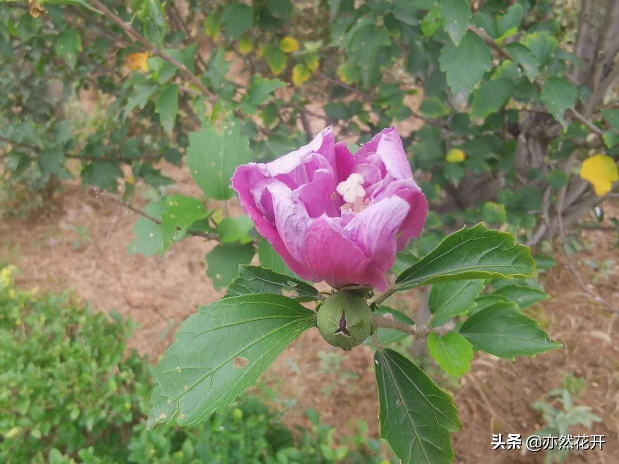 写好每一个句子，让文章更出彩