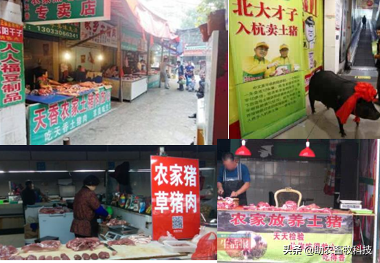 養(yǎng)殖中運用部分牧草好處多！消納養(yǎng)殖場糞污降低飼料成本提高品質(zhì)