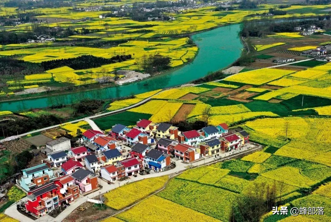 2021农村未来10大项目，蕴含万亿发展商机，抓住一项就有大发展