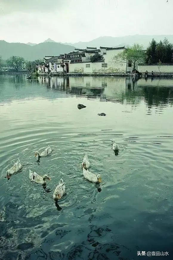 烟雨江南春风顾，不负时光不负卿