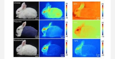 《流浪地球》中的杭州没了，还要去浙大上学/上班吗？