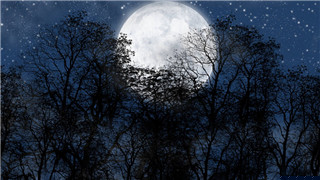 以《夜莺与玫瑰》为例，感悟童话故事的现实意义和爱情的四个真谛
