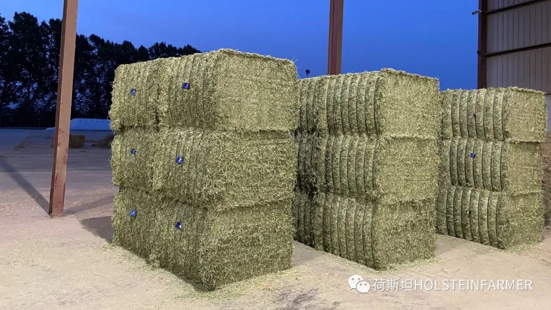 2020美國(guó)&西班牙牧草收成：天氣&物流依舊不確定