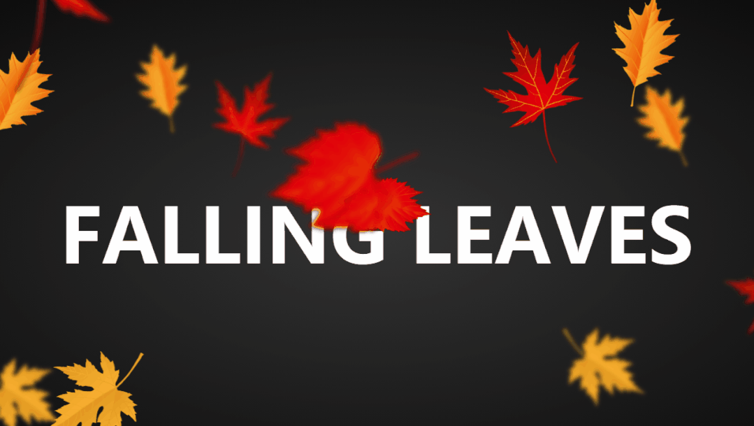 1079_609gif 动态图 动图