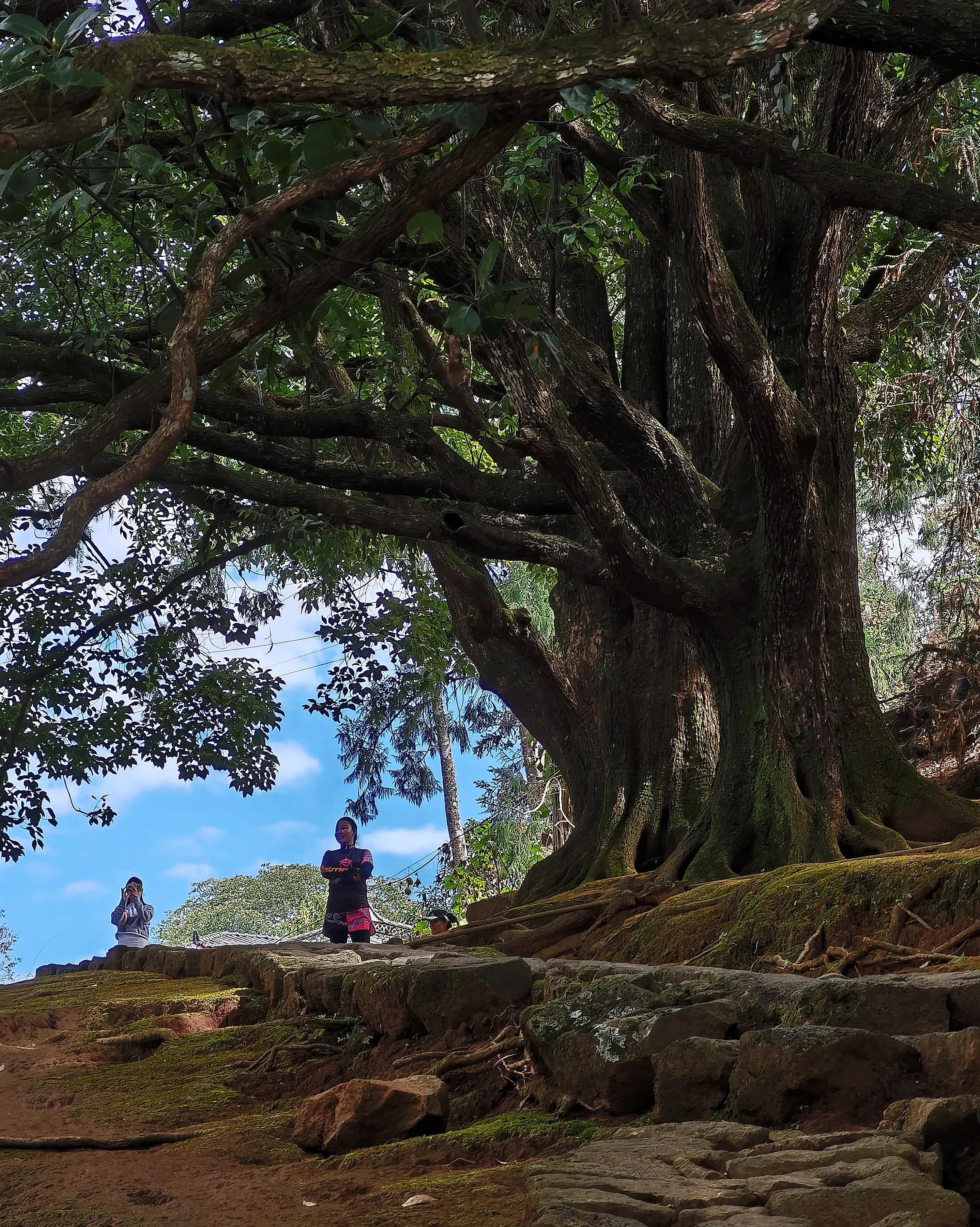 手拍世界（手机摄影平台）-群员作品集（总第733期）