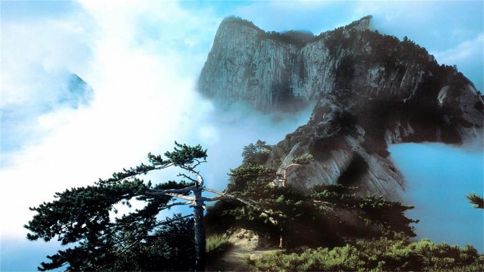 陕西10名学霸已拿到“清北录取通知书”，分别出自哪几所中学