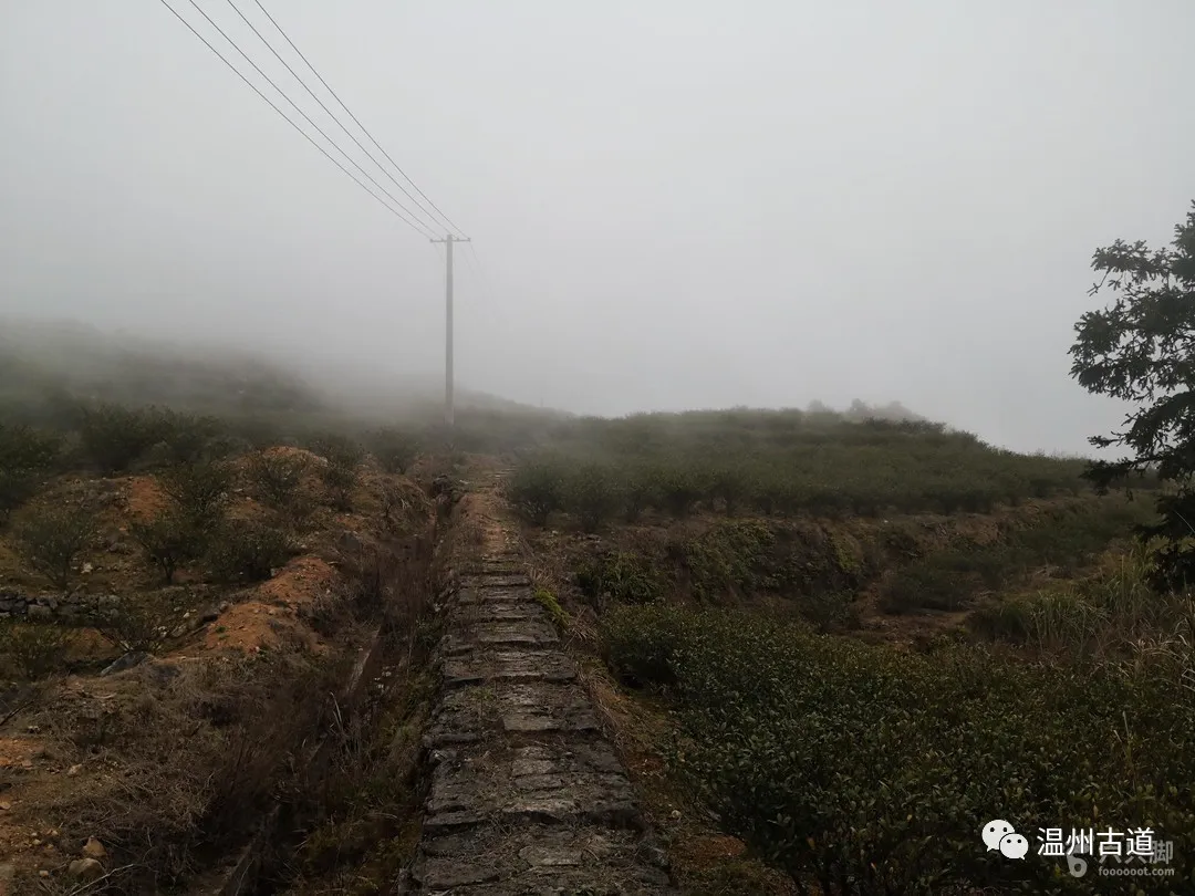 平阳麻步吧（平阳麻步沿口七星山古道环线穿越风景如画）