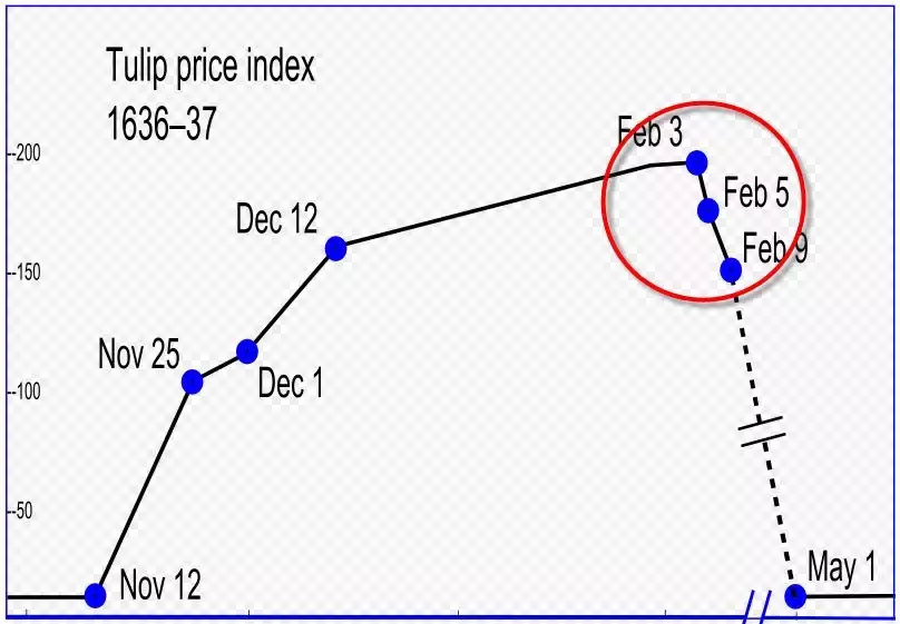 1937年荷兰郁金香事件(郁金香泡沫差点毁掉荷兰？这不太真实)