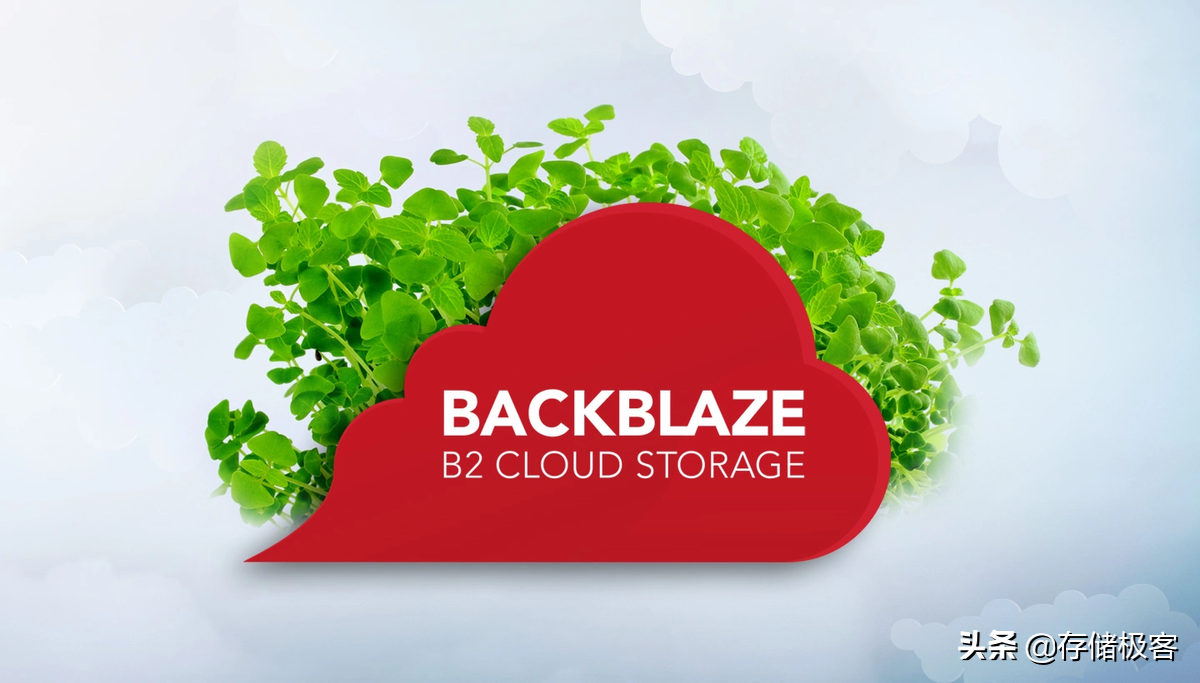 从每月大赚100万美元到入不敷出：云存储厂商差点栽在硬盘挖矿上