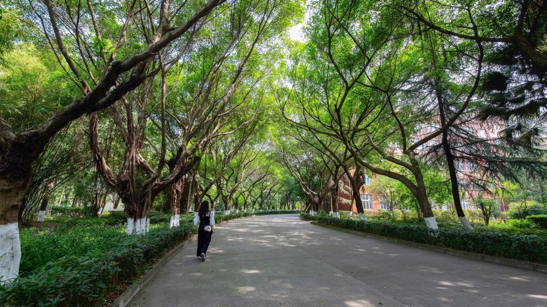 速来围观！三原外国语学校中学部&小学部2021年招生简章新鲜出炉