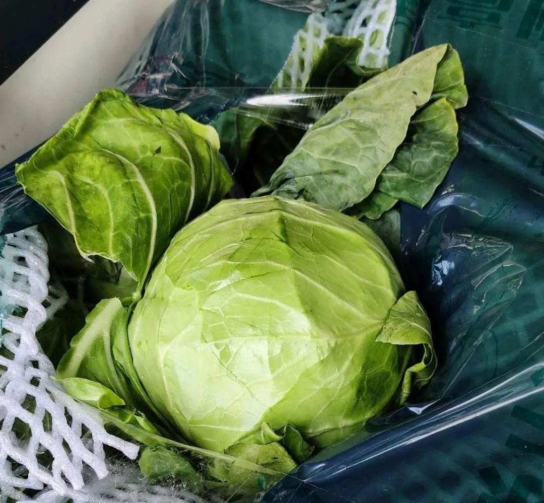 上海江桥：西兰花、白菜、青甘蓝价格回升，胡萝卜、白萝卜、卷心菜等表现平平