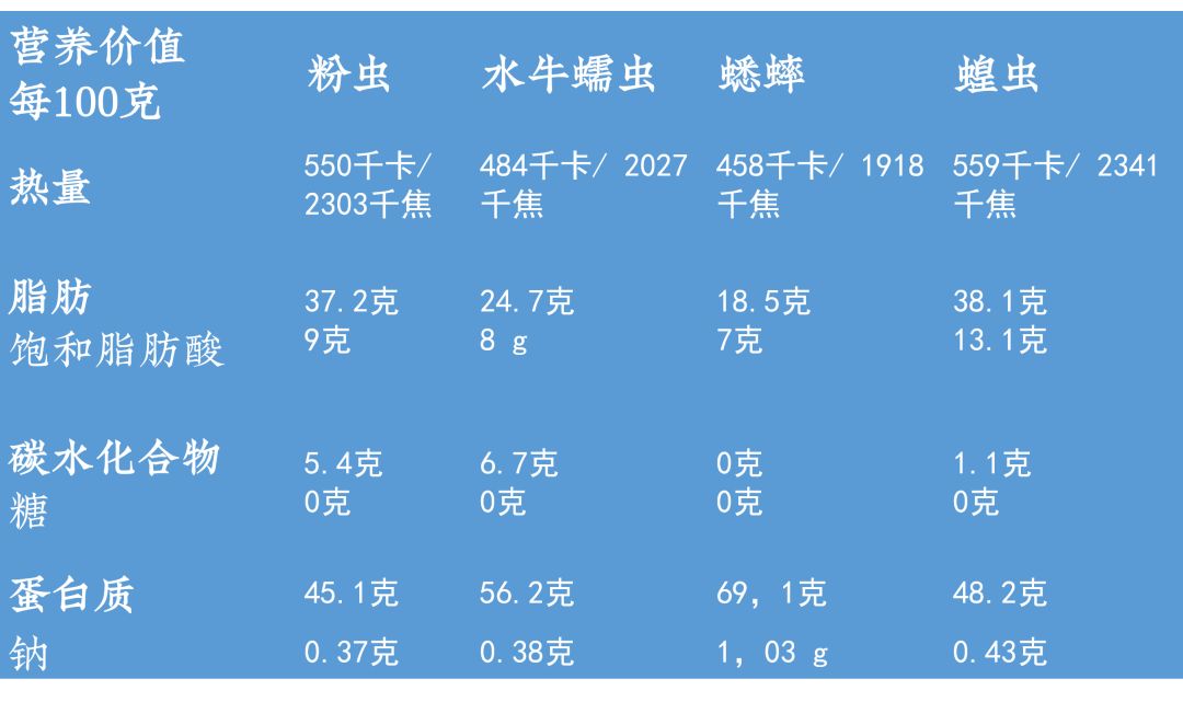 昆虫的营养价值高吗？哪些昆虫适合吃？