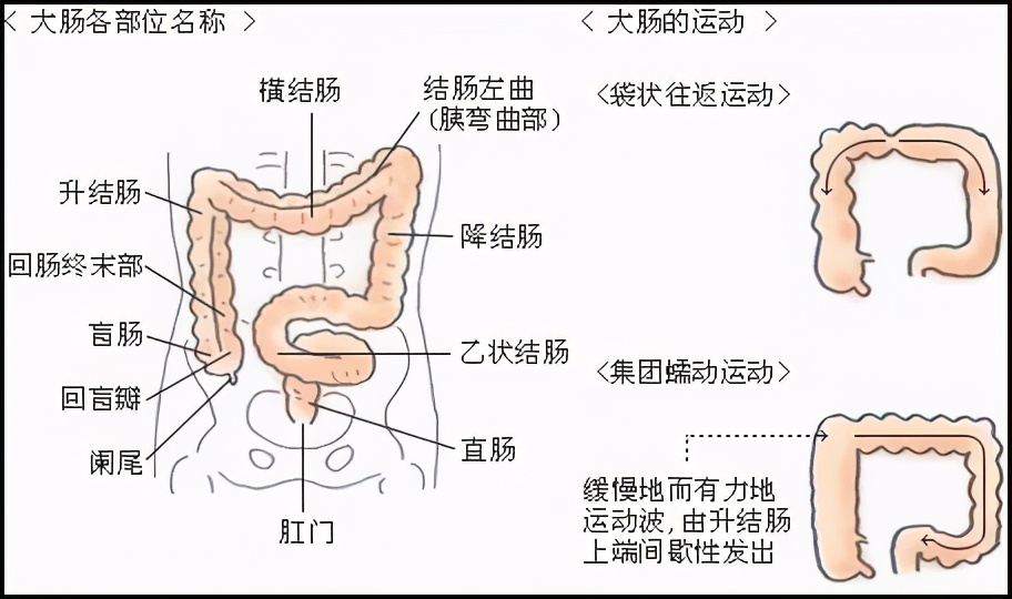 女性性行为时如何正确使用肛门冲洗器进行清洁护理