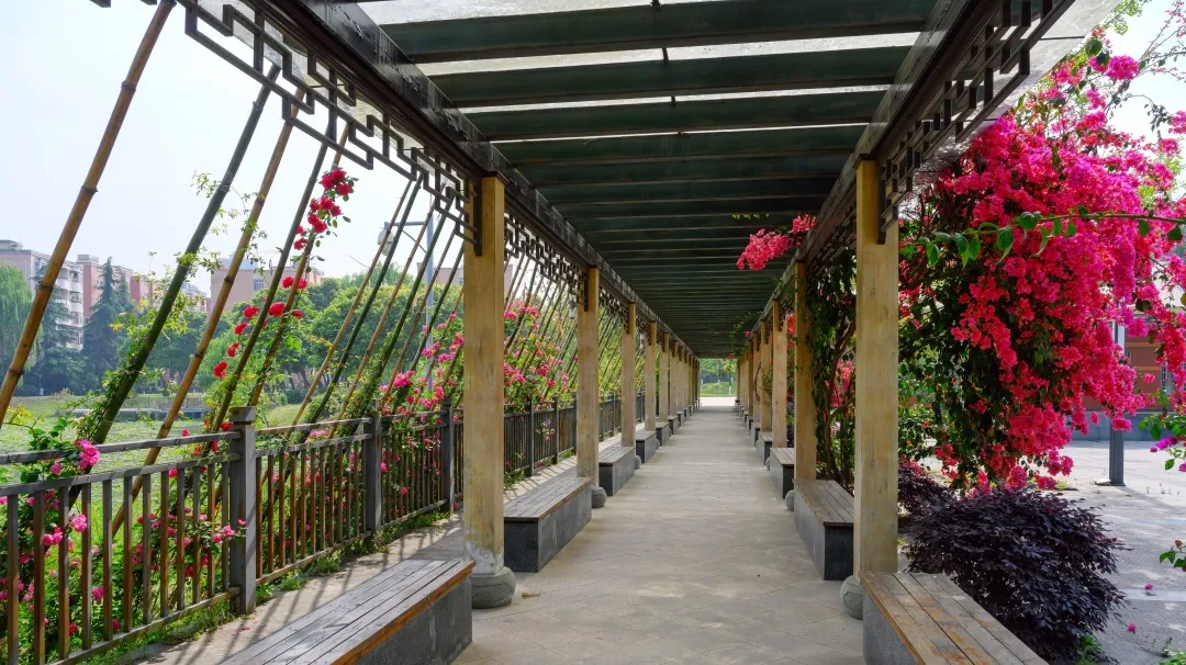 速来围观！三原外国语学校中学部&小学部2021年招生简章新鲜出炉