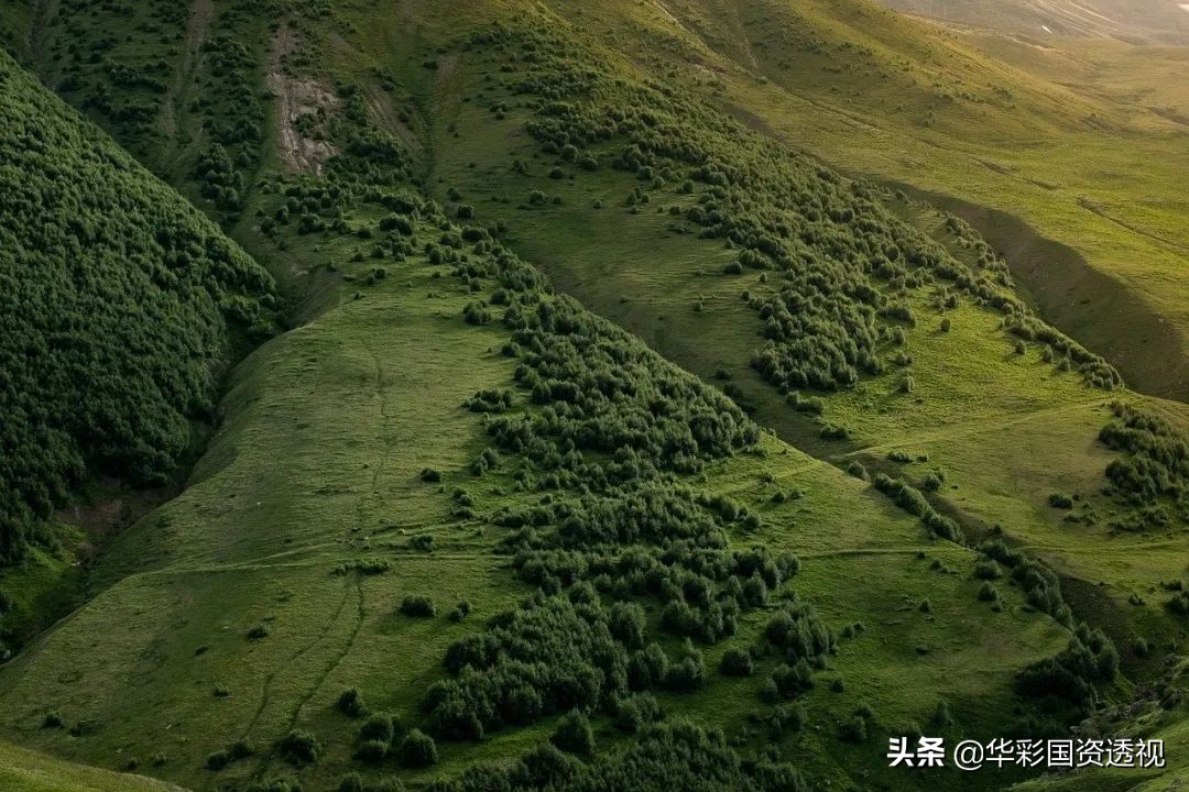 集团财务管控系列｜三：集团财务管控模式设计及财务管控体系模型