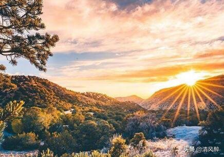 爱错了人的伤心句子