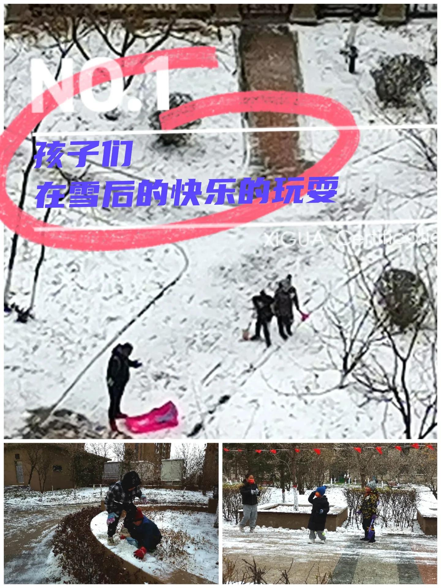 立冬，一场大雪带给孩子的快乐